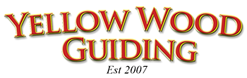 Yellwo Wood Guiding Logo